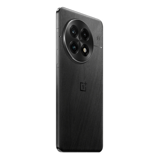 OnePlus 13 24/1Tb Dual nanoSim Черный (CN)