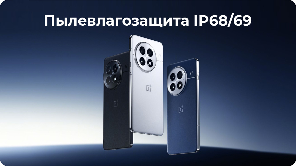 OnePlus 13 16/512Gb Dual nanoSim Черный Global